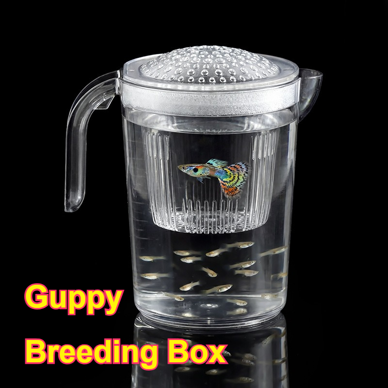 Aquarium Fish Delivery - 어류 모종 소형 구피 번식컵 먹이