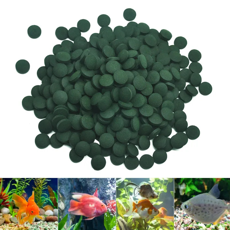 100-3000개 고순도 스피룰리나 정제 나선형 해조류 - Aquarium Fish Holiday Food 리뷰 및 가격