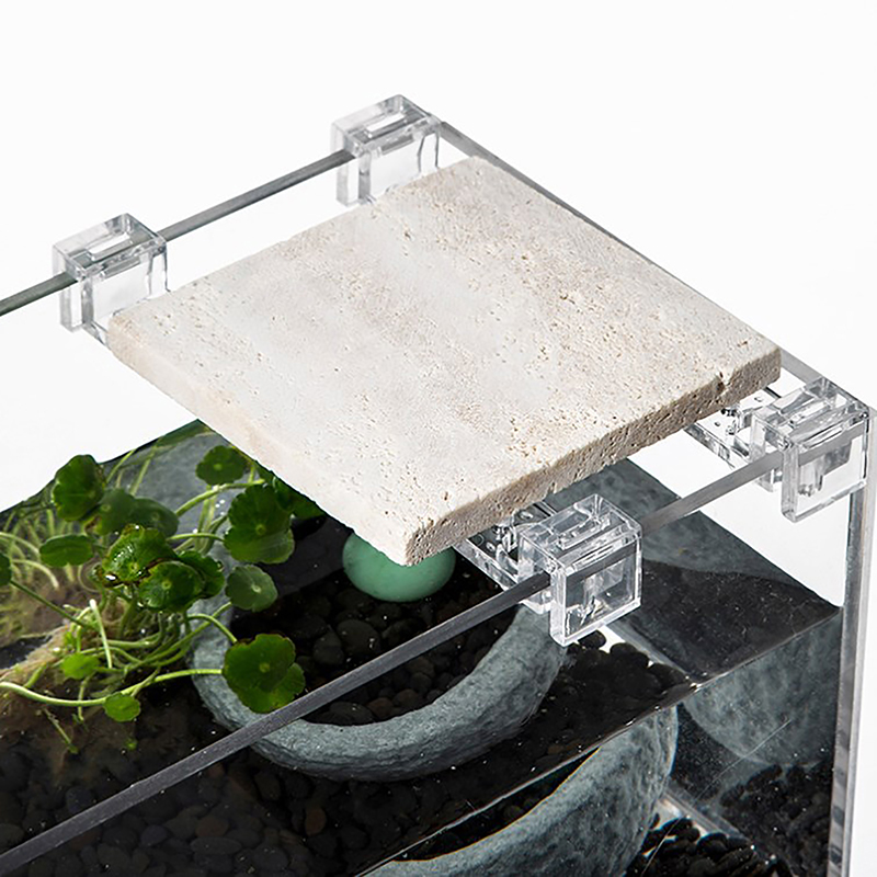 5mm ~ 12mm 벽 두께에 대 한 4Pcs 물고기  - Aquarium Fish Elevator 리뷰 및 가격