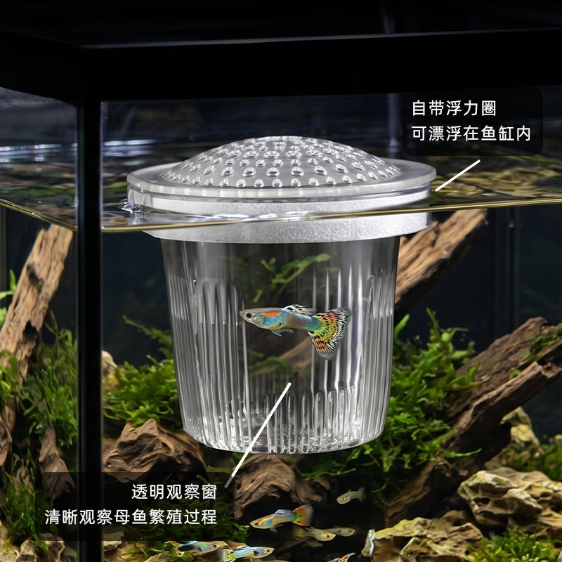 어류 모종 소형 구피 번식컵 먹이 공급용품 통기성 수족 - Aquarium Fish Delivery 리뷰 및 가격