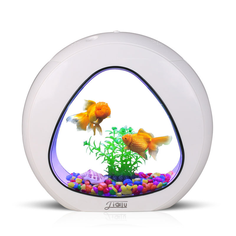 지아루 창의적인 데스크탑 어항 소형 장식용 금붕어 어항 - Aquarium Fish Delivery 리뷰 및 가격
