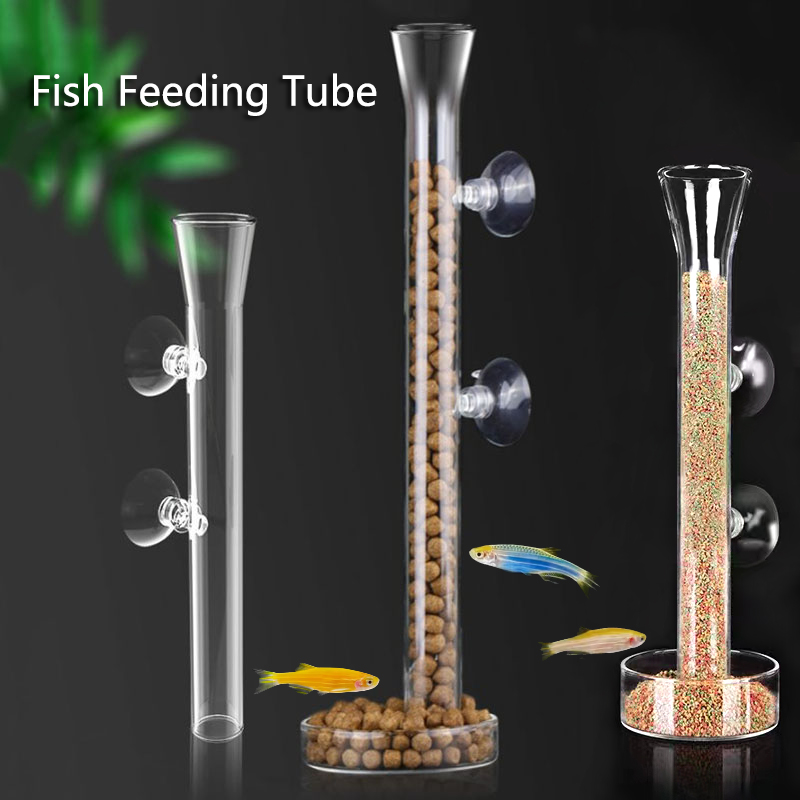 유리 수족관 피더 튜브 접시, 투명 어항, 새우 달팽이 - Aquarium Fish Holiday Food 리뷰 및 가격