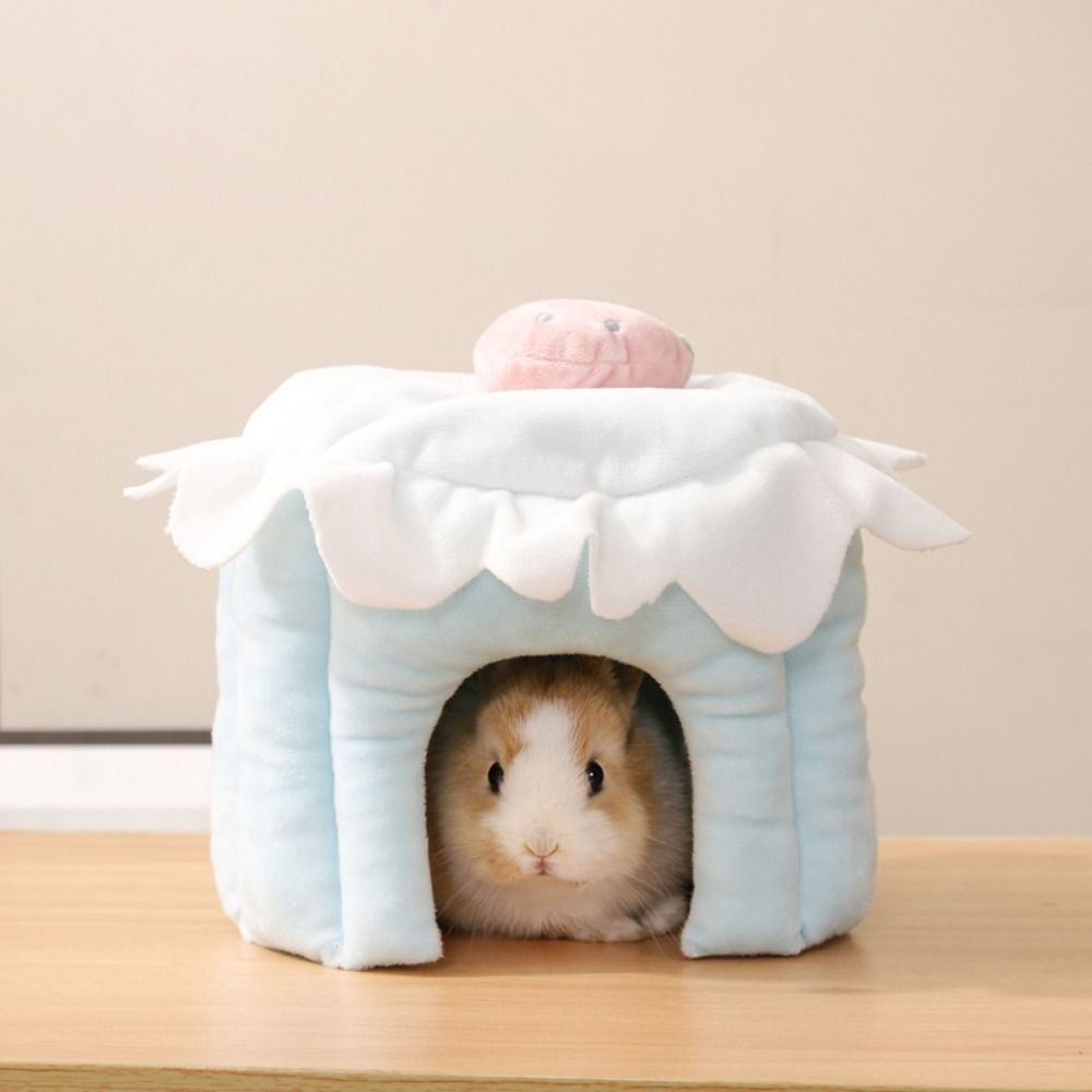 케이크 모양 애완 동물 은신처 집 딸기 디자인 부드러운 - Aquarium Fish Hideout 리뷰 및 가격