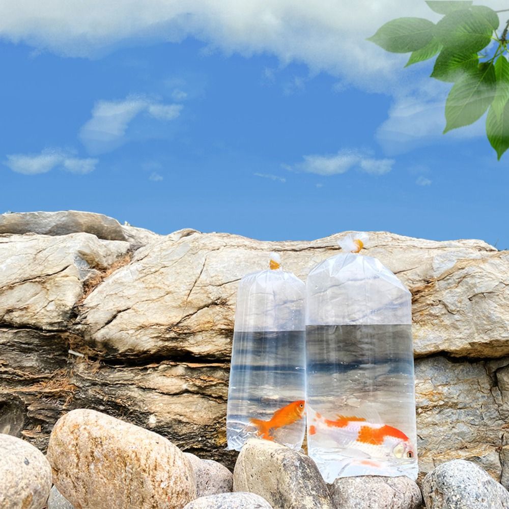 10PCS 플라스틱 수족관 호흡 가방 고품질 투명 물고 - Aquarium Fish Delivery 리뷰 및 가격