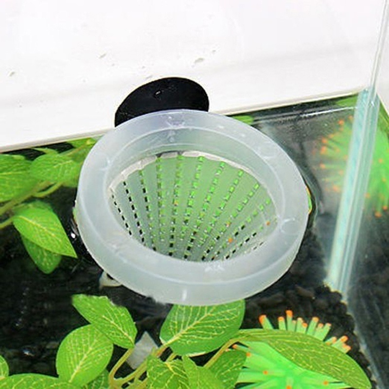 살아있는 냉동 소금물 새우 생선 먹이를 먹이는 수족관  - Aquarium Fish Holiday Food 리뷰 및 가격